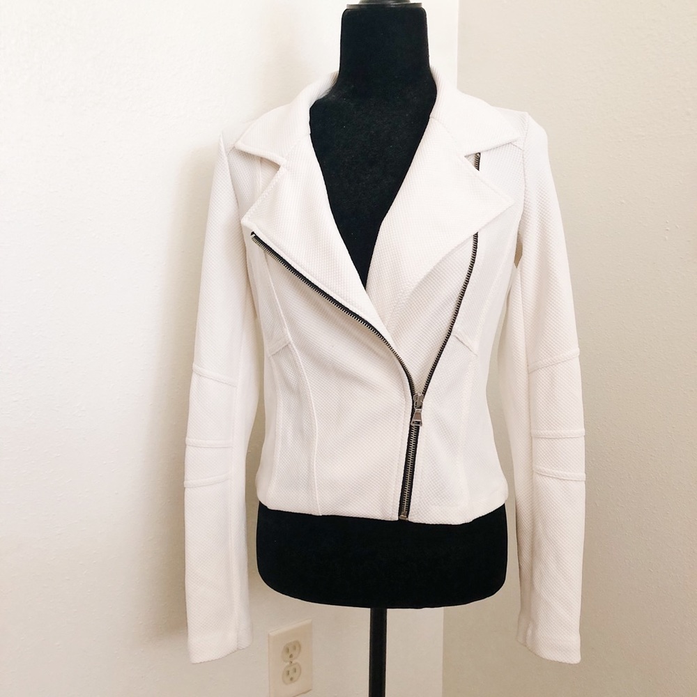 The Limited Moto Zip Blazer Jacket